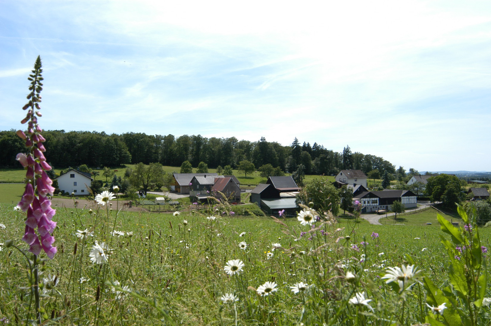 Dorfbild mit Blumen in Diedenberg