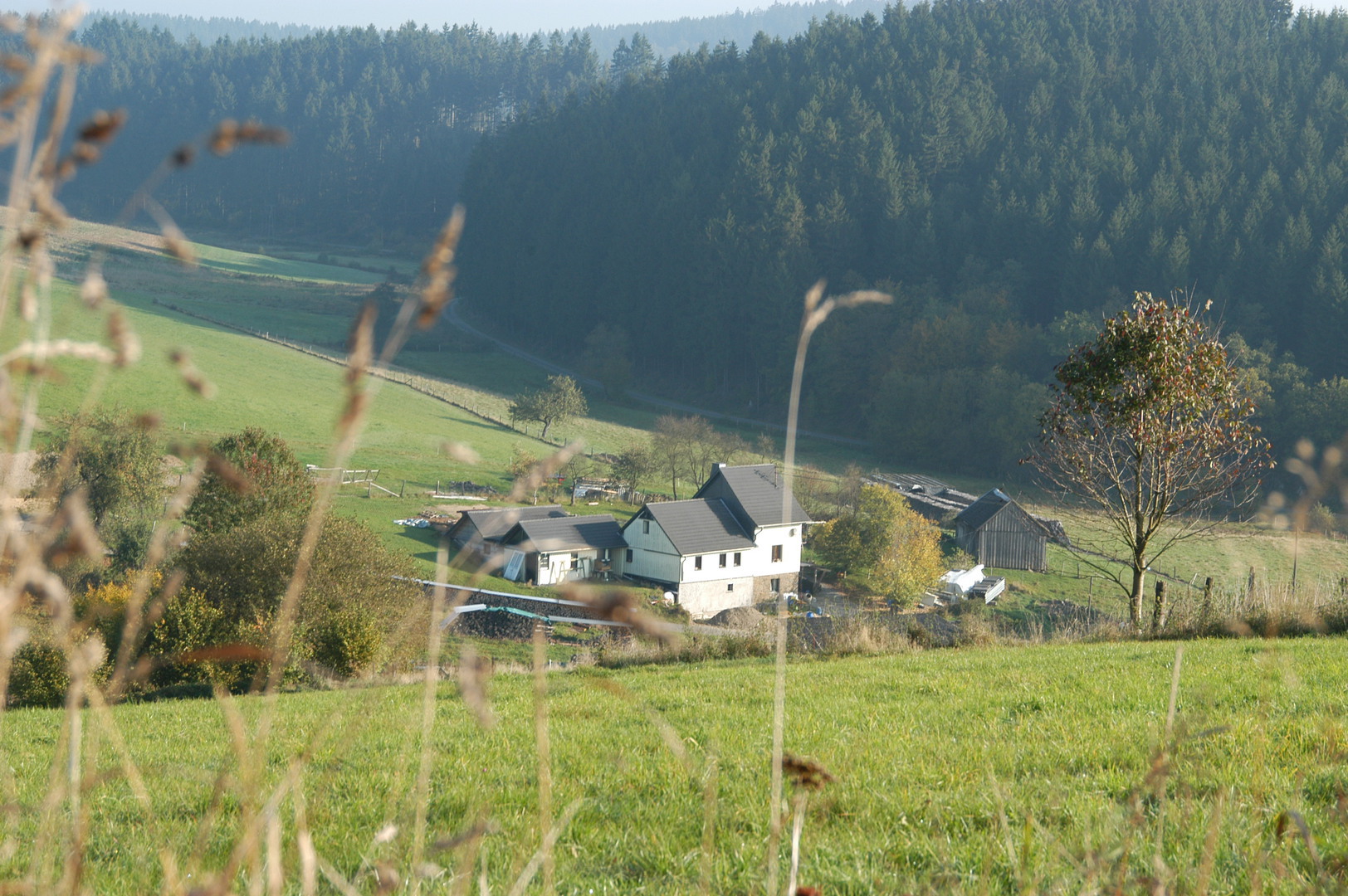Beienbach