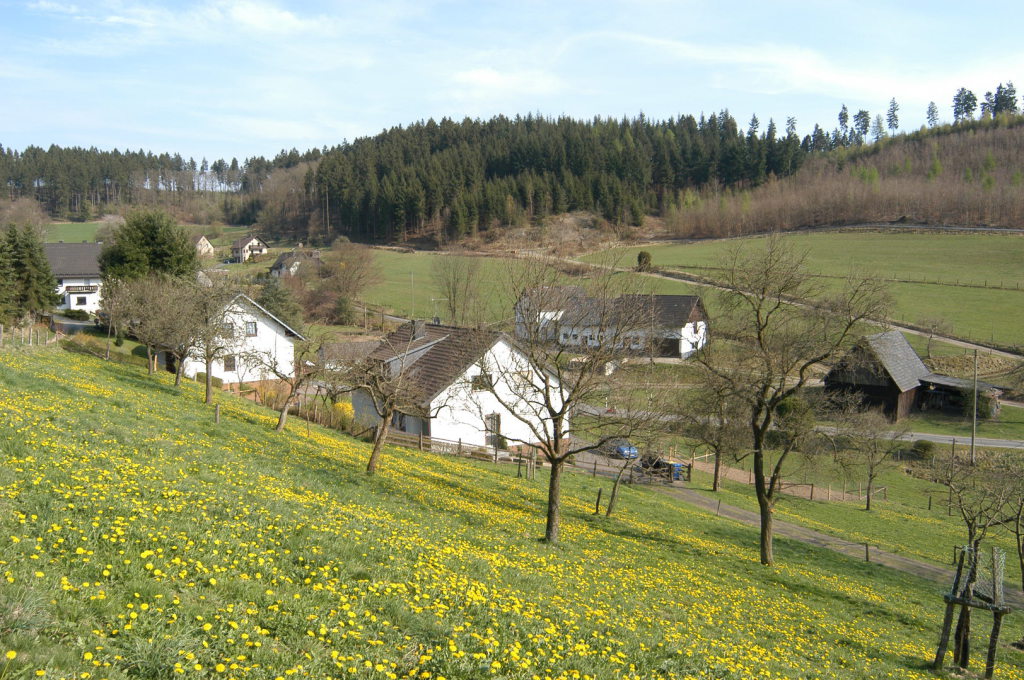 Bockenbaum