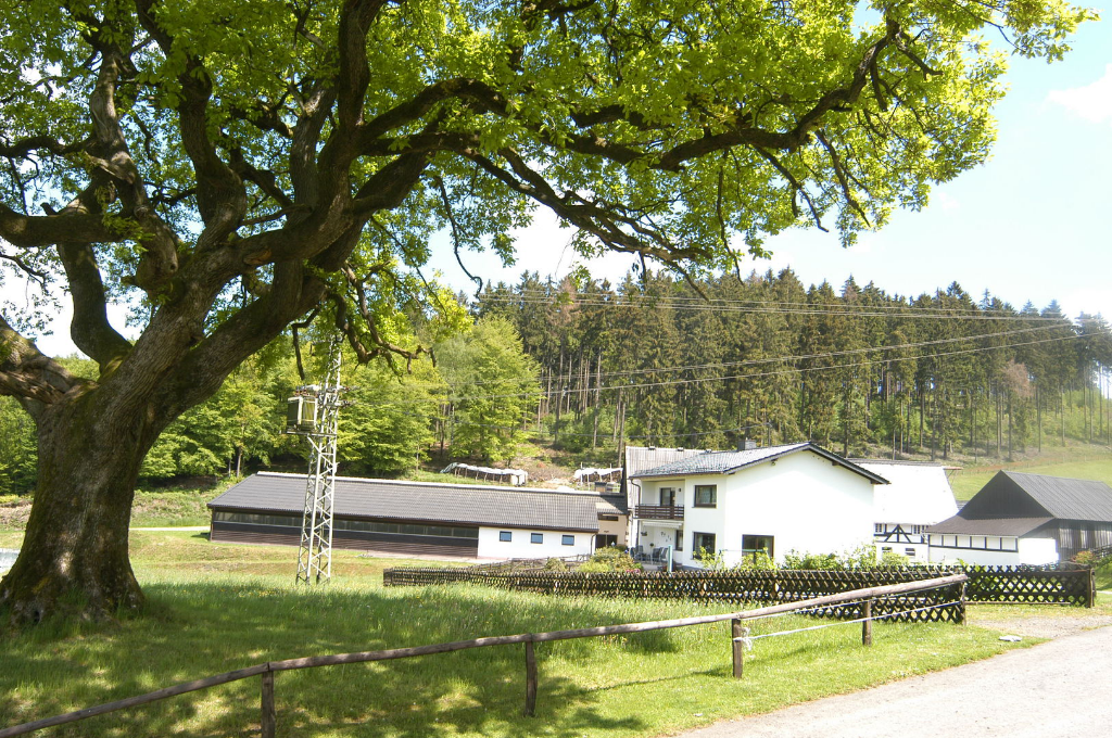 Obersolbach