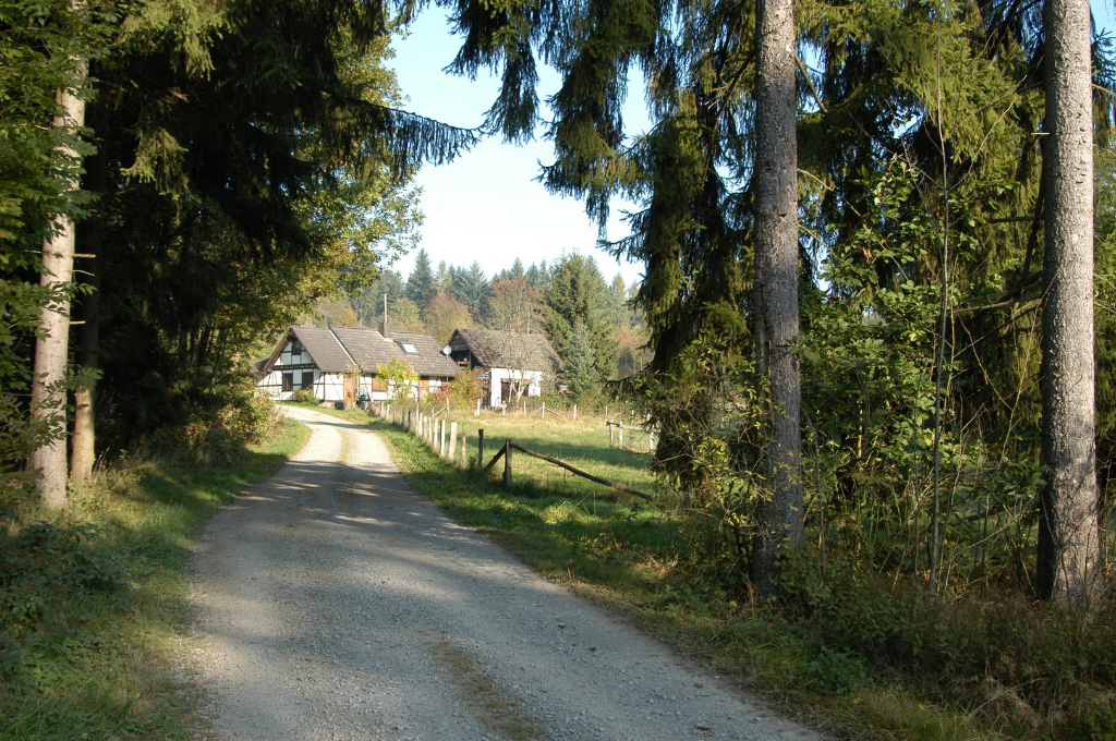 Quasthöhe