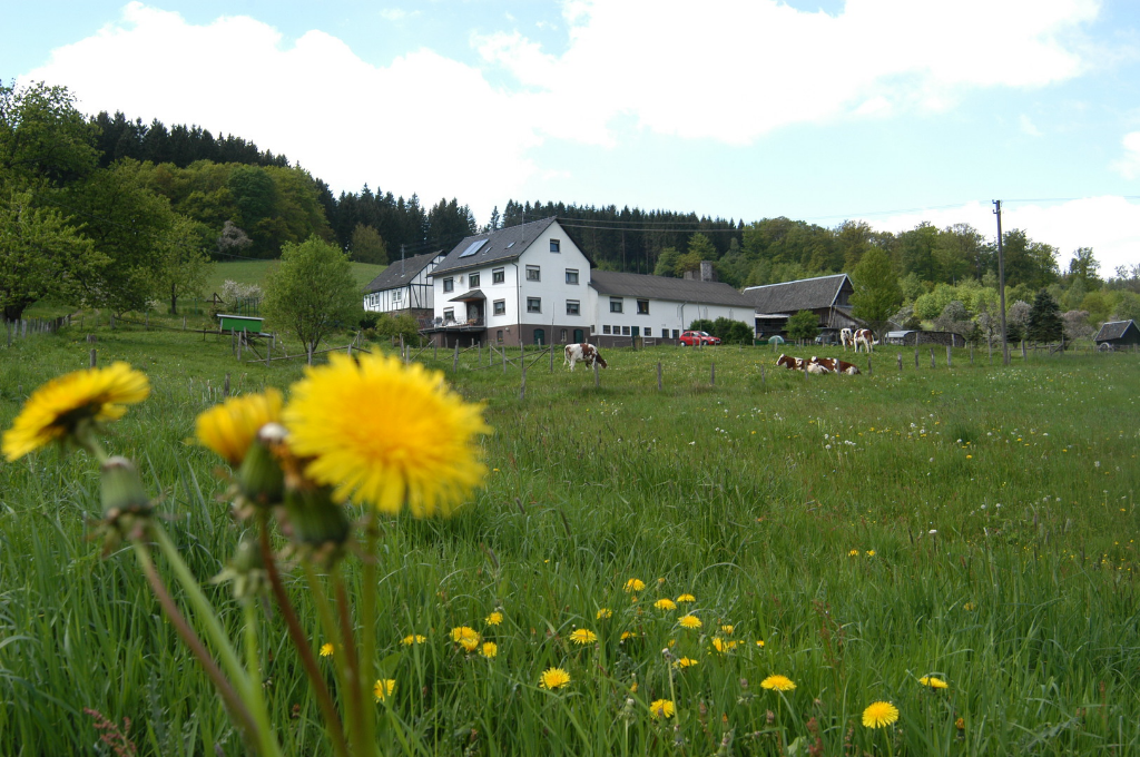 Schmalenbach