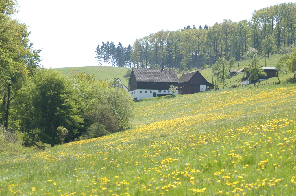 Westbach