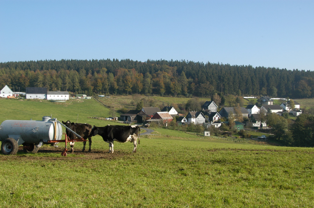 Kappenstein