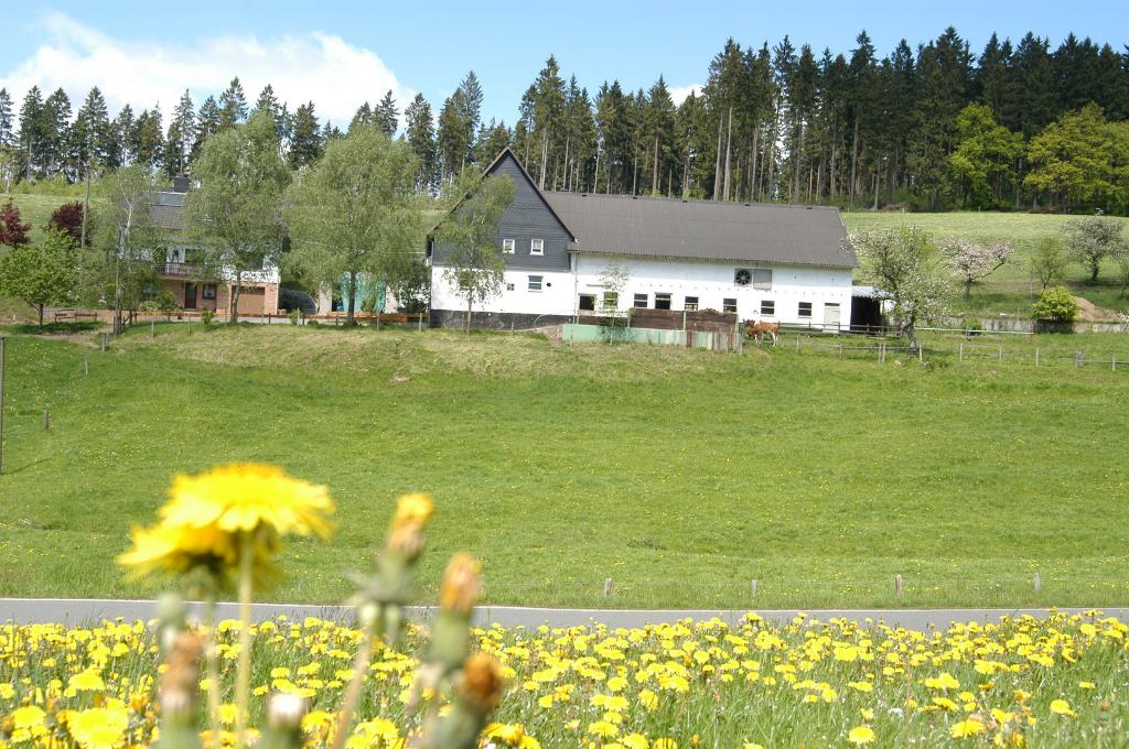 Mittelsolbach